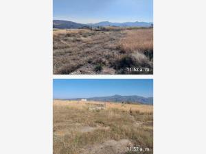 Terreno en venta en Milpillas, Atotonilco El Alto — foto 3 de 5