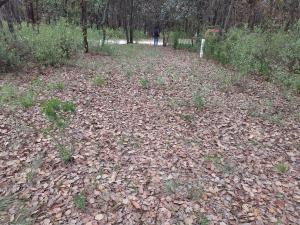 Terreno en venta en Loma de Trojes, Villa del Carbón — foto 2 de 33