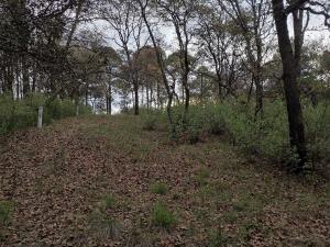 Terreno en venta en Loma de Trojes, Villa del Carbón — foto 3 de 33