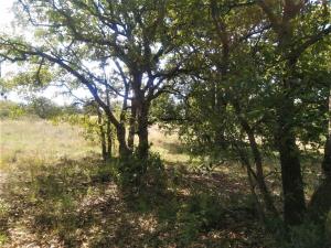 Terreno en venta en Macavaca (Santa Ana Macavaca), Chapa de Mota — foto 3 de 12