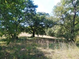 Terreno en venta en Macavaca (Santa Ana Macavaca), Chapa de Mota — foto 2 de 12