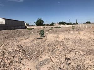 Terreno en renta en Casa Blanca, Gómez Palacio — foto 3 de 3