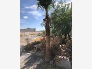 Terreno en renta en Casa Blanca, Gómez Palacio — foto 2 de 6