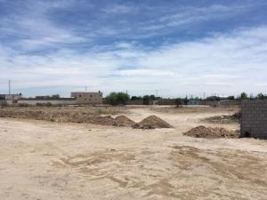 Terreno en renta en El Vergel, Gómez Palacio — foto 3 de 4