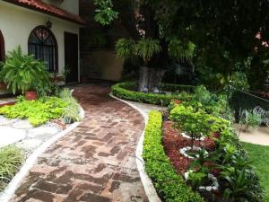 Departamento en renta en Reforma, Oaxaca de Juárez — foto 2 de 9