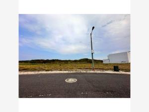 Terreno en venta en Playas del Conchal, Alvarado — foto 3 de 11
