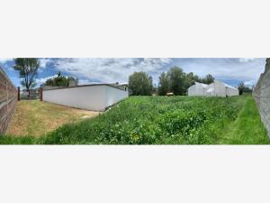 Terreno en venta en San Andres de las Peras, Tepetlaoxtoc — foto 2 de 13