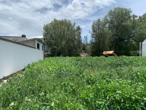 Terreno en venta en San Andres de las Peras, Tepetlaoxtoc — foto 3 de 15