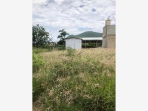 Terreno en venta en Rufino Tamayo, Santa Cruz Xoxocotlán — foto 2 de 7