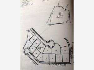 Terreno en venta en Hacienda del Rosario, Torreón — foto 2 de 3