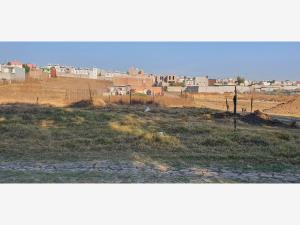 Terreno en venta en Nueva Alemania, Cuautlancingo — foto 3 de 31
