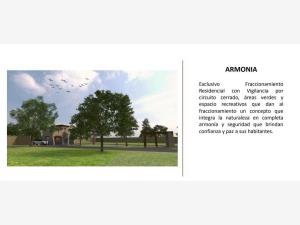 Terreno en venta en Apatlahuaya, Apizaco — foto 2 de 5