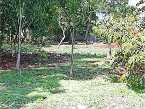 Terreno en venta en Las Palmas, Fortín — foto 3 de 8