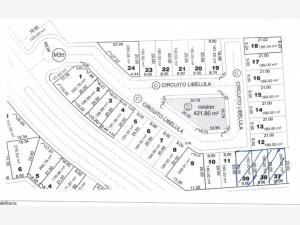 Terreno en venta en Villa de las Palmas, Torreón — foto 2 de 10