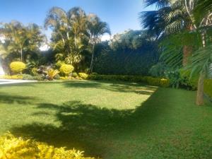 Casa en venta en Vista Hermosa, Cuernavaca — foto 2 de 25