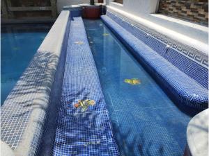 Casa en renta en Lomas de Cocoyoc, Atlatlahucan — foto 3 de 28