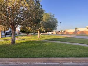 Terreno en venta en Las Villas, Torreón — foto 3 de 6