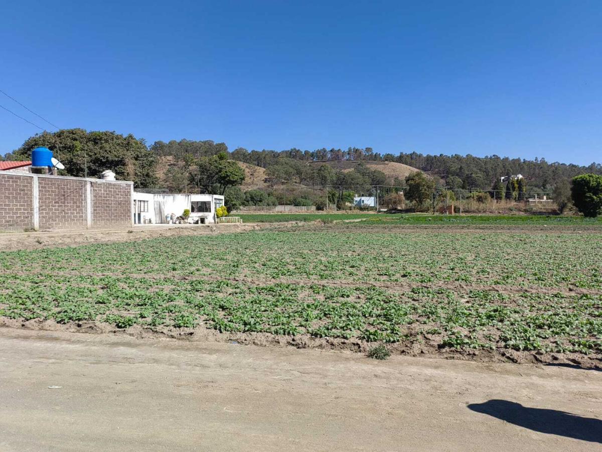 Terreno en renta en Zerezotla, San Pedro Cholula — foto 1 de 7