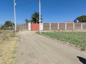 Terreno en renta en Zerezotla, San Pedro Cholula — foto 3 de 7