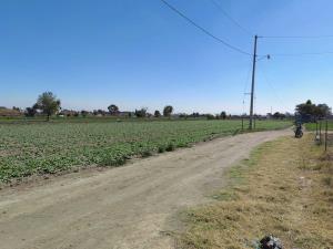 Terreno en renta en Zerezotla, San Pedro Cholula — foto 2 de 7