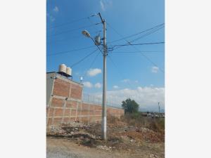 Terreno en venta en Los Jacales (La Loma), León — foto 3 de 6