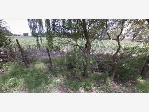 Terreno en venta en San Miguel Totocuitlapilco, Metepec — foto 3 de 4