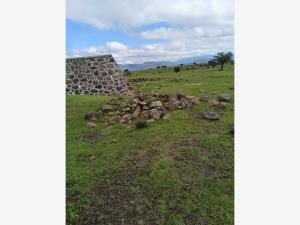 Terreno en venta en Xochitlán de las Flores, Tula de Allende — foto 2 de 10