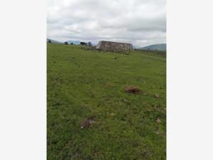 Terreno en venta en Xochitlán de las Flores, Tula de Allende — foto 3 de 10