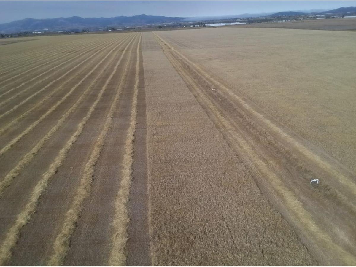 Finca-Rancho en venta en San Antonio la Palma, Metepec — foto 1 de 3