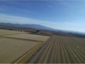Finca-Rancho en venta en San Antonio la Palma, Metepec — foto 2 de 3