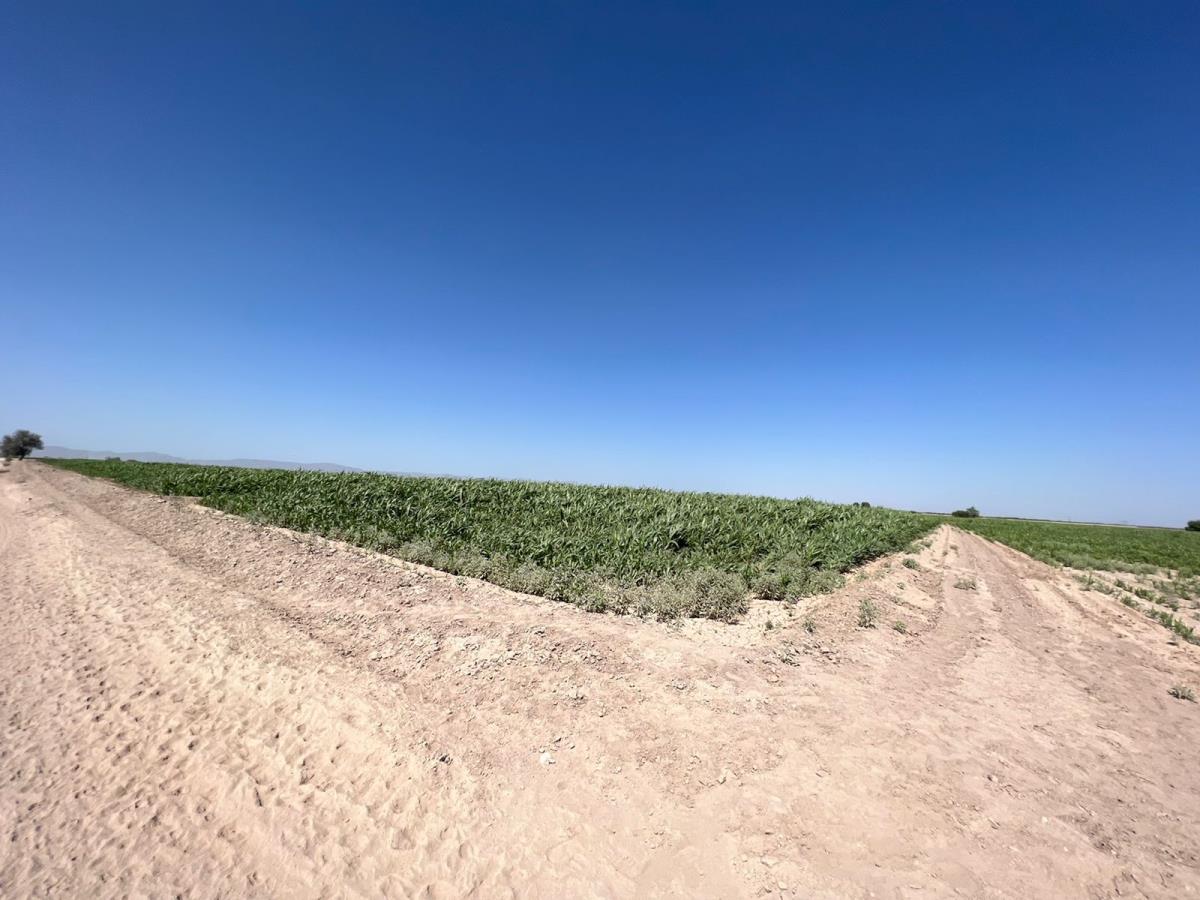 Terreno en Venta en Ejido Ana, Torreón, Coahuila de Zaragoza