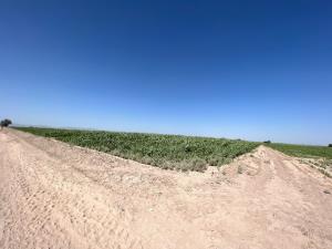 Terreno en venta en Ejido Ana, Torreón, Coahuila de Zaragoza