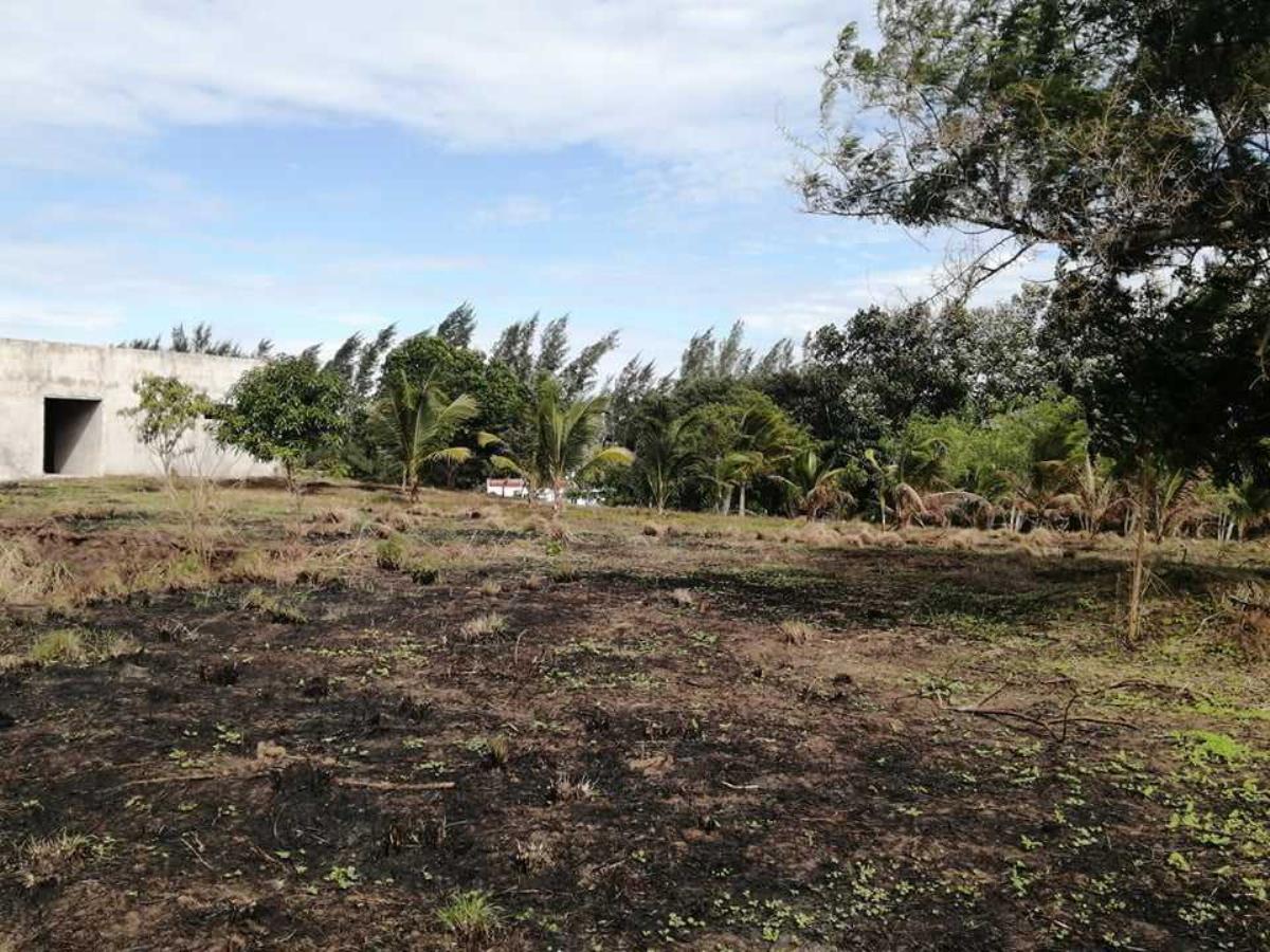 Terreno en venta en San Francisco, Medellín de Bravo — foto 1 de 4