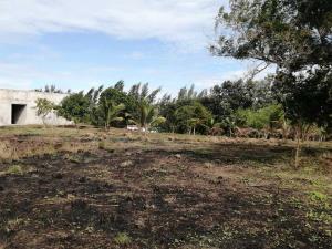 Terreno en venta en San Francisco, Medellín de Bravo, Veracruz de Ignacio de la Llave Terreno en venta en San Francisco, Medellín de Bravo, Veracruz de Ignacio de la Llave