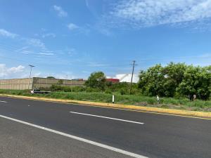 Terreno en renta en Delfino Victoria (santa Fe), Veracruz — foto 3 de 6