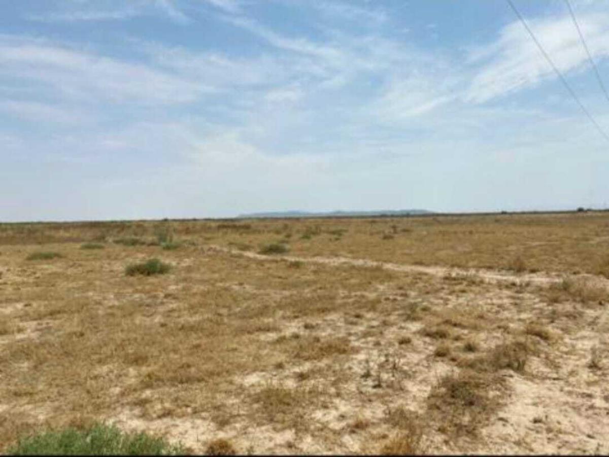 Terreno en venta en Tlahualilo de Zaragoza Centro, Tlahualilo — foto 1 de 4