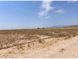 Terreno en venta en Tlahualilo de Zaragoza Centro, Tlahualilo — foto 2 de 4