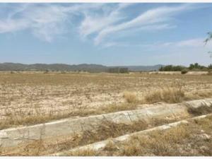 Terreno en venta en Tlahualilo de Zaragoza Centro, Tlahualilo — foto 3 de 4