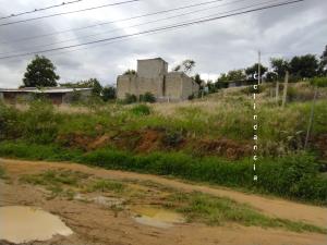 Terreno en venta en La Soledad, Santa Cruz Xoxocotlán — foto 2 de 5