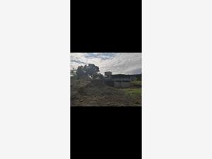 Terreno en venta en San Francisco, Medellín de Bravo — foto 2 de 10