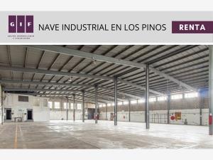 Bodega en renta en Jardines de la Mesa, Tijuana — foto 2 de 8