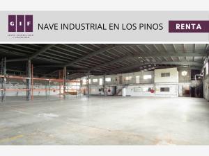 Bodega en renta en Jardines de la Mesa, Tijuana — foto 3 de 8