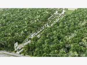 Terreno en venta en Xpu Ha, Solidaridad, Quintana Roo Terreno en venta en Xpu Ha, Solidaridad, Quintana Roo