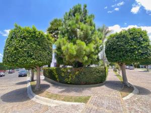 Casa en venta en Lomas de Angelópolis, San Andrés Cholula — foto 3 de 18