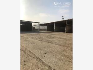 Bodega en renta en El Florido 1ra. Sección, Tijuana — foto 3 de 10