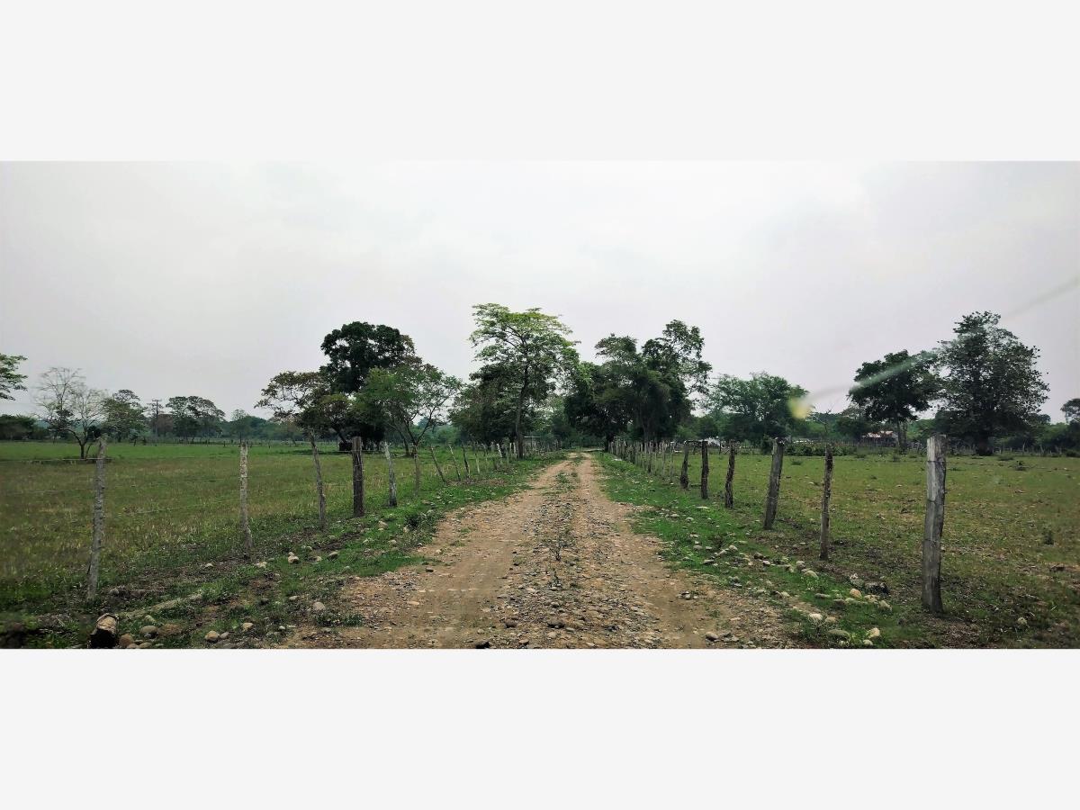 Finca-Rancho en venta en Las Mariposas, Cosamaloapan de Carpio — foto 1 de 14