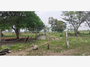 Finca-Rancho en venta en Las Mariposas, Cosamaloapan de Carpio — foto 2 de 14