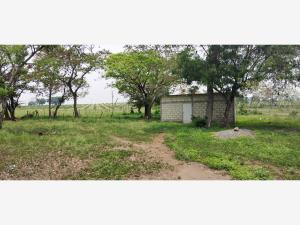Finca-Rancho en venta en Las Mariposas, Cosamaloapan de Carpio — foto 3 de 14