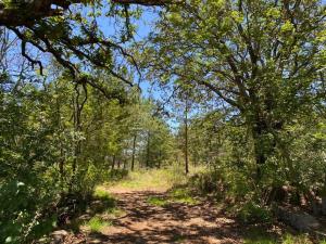 Finca-Rancho en venta en San Miguel Dehetí, Amealco de Bonfil — foto 3 de 41