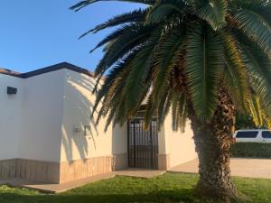Casa en venta en San Armando, Torreón — foto 3 de 25
